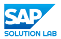 SAP Knowledge and Solutions