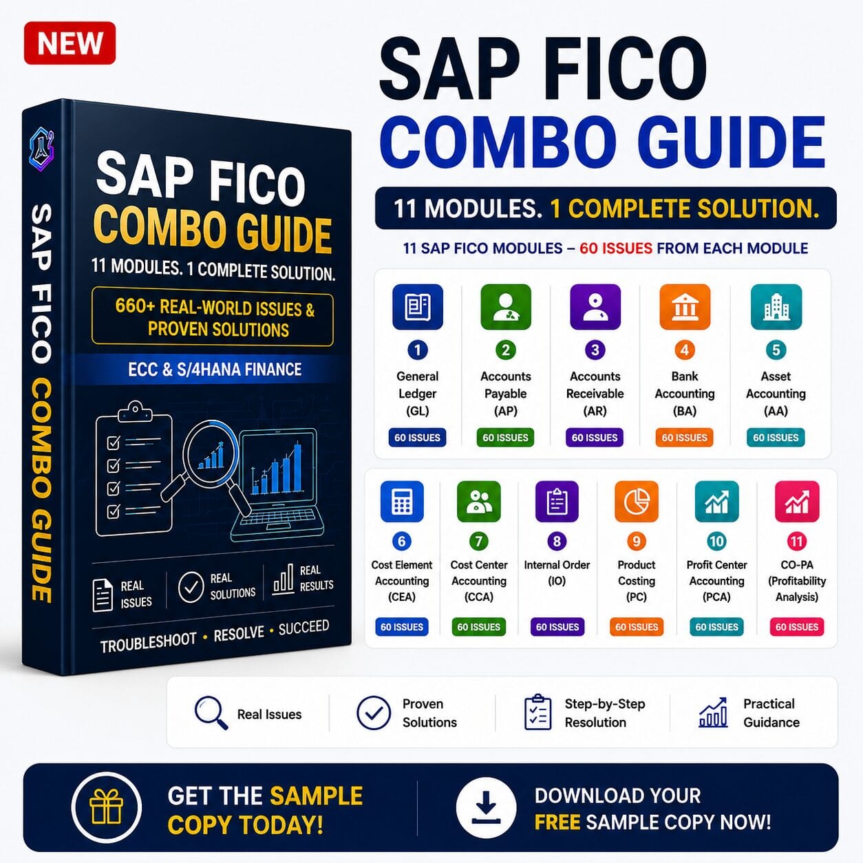SAP FICO Combo Issue Resolution